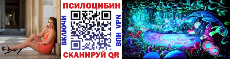 Псилоцибиновые грибы Cubensis  Лебедянь 